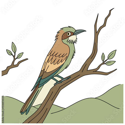bird voctor color flower illustration