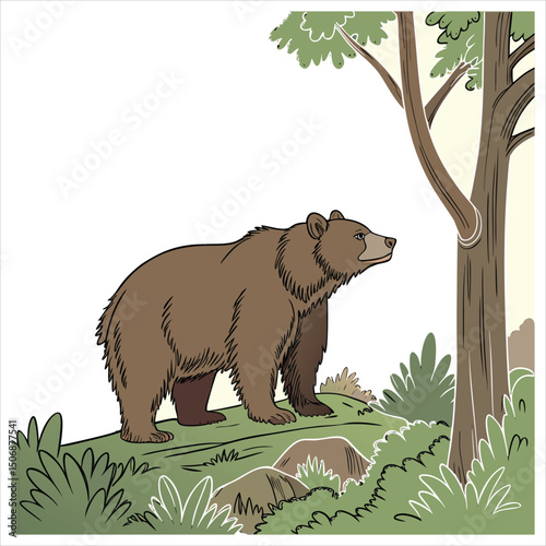 bear cartoon vector