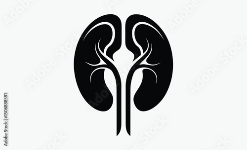 Human Kidney Silhouette Icon