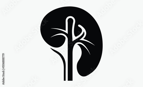 Human Kidney Silhouette Icon