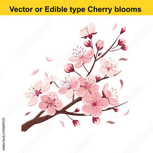 Ephemeral Cherry Blossoms: Celebrating Life’s Fleeting Grace