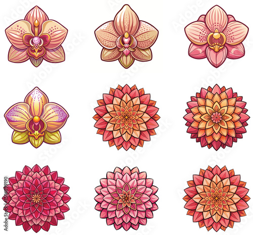 set of flowers vector