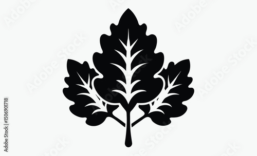 Oak Leaves Silhouette Vector