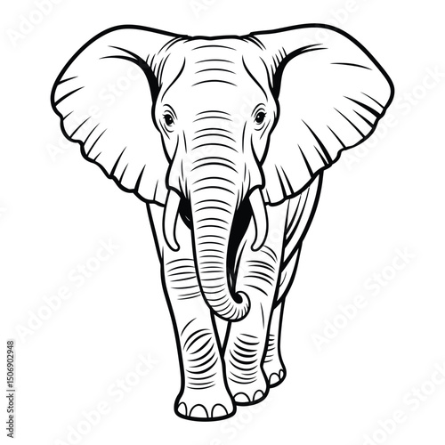 African elephant walking with trunk up Coloring Page, Silhouette, Vector, Illustration, Outline, Logo, White Background.