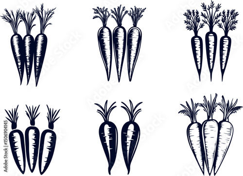 Carrot bunches isolated on white background in various styles