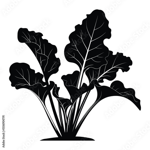 Beet Greens Silhouette, Vector, Illustration, Icon, Logo, White Background.