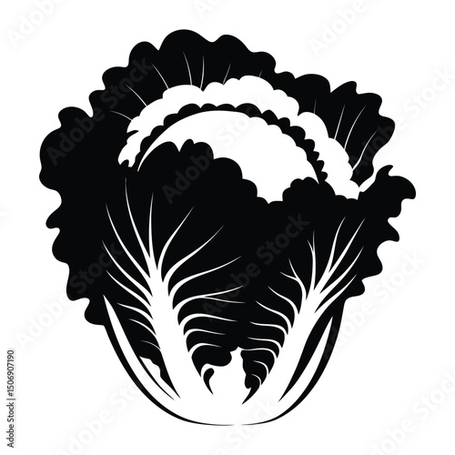 Napa Cabbage Silhouette, Vector, Illustration, Icon, Logo, White Background.