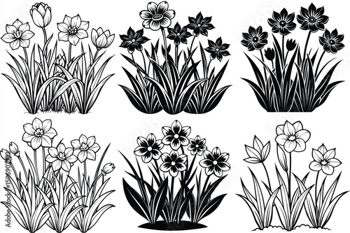 Blooming flowers among the green grass premium silhouette vector illustration isolated on white background.