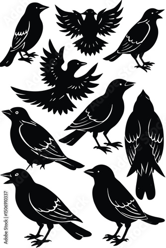 Bird silhouette vector set featuring different poses including standing,flying,and perched birds with wing detail