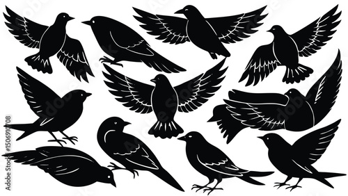 Collection of bird silhouettes with open wings flying and perching isolated on white background set of decorative birds