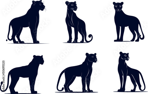 Panther silhouettes isolated on white background