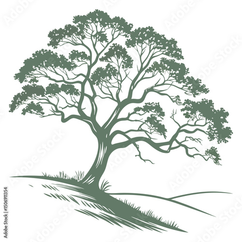 Elegant olive green tree silhouette on hillside vector graphic for botanical designs and nature projects