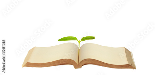 Growing knowledge book with plant growing nature setting educational concept fresh environment unique perspective