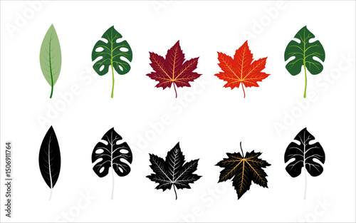 Colorful Autumn Leaves Collection Various Shapes and Sizes Botanical Illustration Nature Design Elements Perfect for Fall Projects Vibrant Red Orange Green Unique Leaf Set Naturalistic Style Graphic  