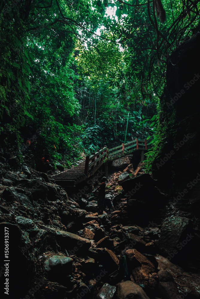Obraz premium Lush jungle trail with bridge and steps