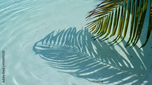 Sunlight filters through a palm frond, casting razor-sharp shadow lines that dance across crystal-clear water