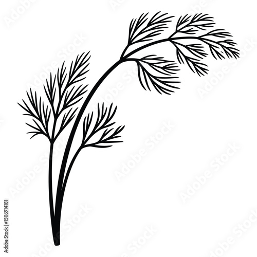 Dill Sprouts Silhouette, Vector, Illustration, Icon, Logo, White Background.