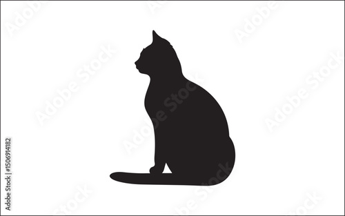 black cat on white background