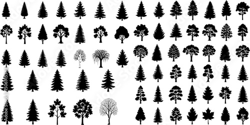 Simple black icons of various coniferous and deciduous trees, depicted as elegant silhouettes, make for beautiful decorative plant graphics