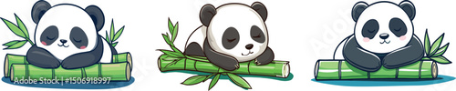 Three cute pandas sleeping on bamboo isolated on white background