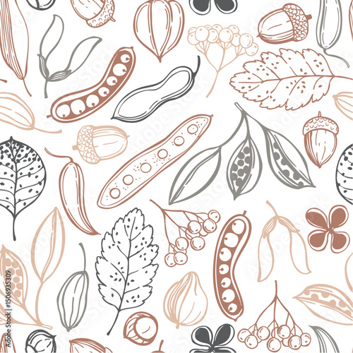 Botanical seamless vector pattern with hand-drawn seedpods. Sketch  illustration.
