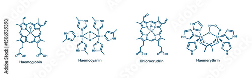 Chemical structure of blood. Haemoglobin, haemocyanin, chlorocrudin, and haemerythrin.