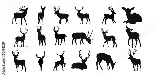 Deer Silhouette: A collection of minimalist deer silhouettes capturing the animal essence and poses