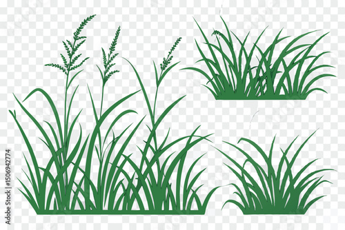 Green grass vector illustration set featuring various arrangements of tall grass and detailed plant elements for design.