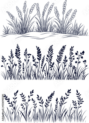 Grass and wheat field plants isolated on white background