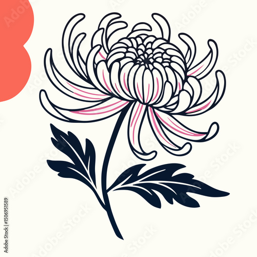 White Chrysanthemum Flower Line Art Illustration