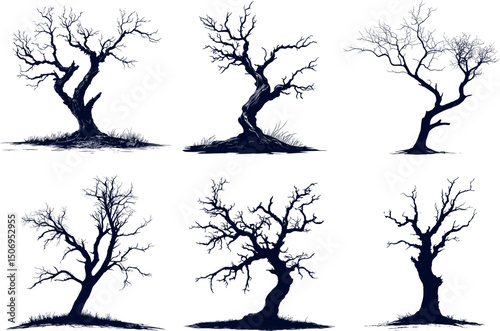 Silhouettes of bare trees isolated on white background