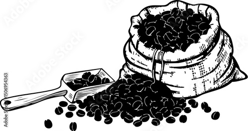 Harvesting fresh coffee beans coffee farm rustic setting close-up view natural brewing