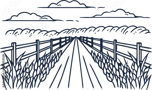 Rural road with fences and cornfield under cloudy sky, country landscape illustration