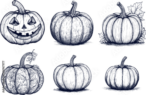 Collection of sketched halloween pumpkins isolated on white background