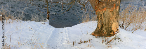 Baumstamm von Biber gefällt, Spuren von Biberzähnen, Winter, Panorama 