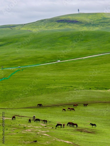 Kalajun Grassland (Karakun Grassland) is a renowned natural landscape in the Tashkurgan area of Xinjiang, China, located in the southern part of Tekes County.