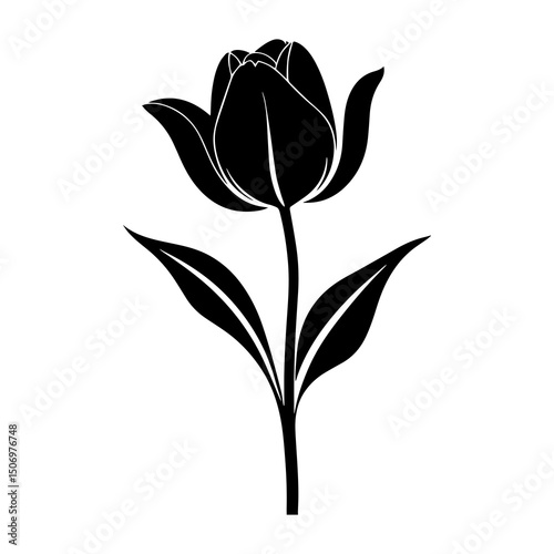 silhouette of a rose