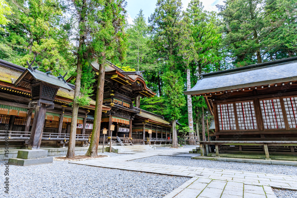 Naklejka premium 初夏の諏訪大社 下社 春宮 長野県諏訪郡 Suwa Taisha Shrine in early summer. Shimosha. Harumiya. Nagano Pref, Suwa District.