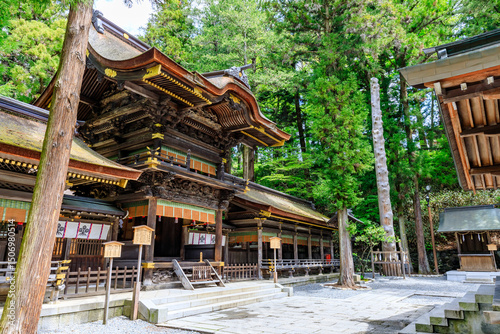 初夏の諏訪大社 下社 春宮　長野県諏訪郡　Suwa Taisha Shrine in early summer. Shimosha. Harumiya. Nagano Pref, Suwa District.	 photo