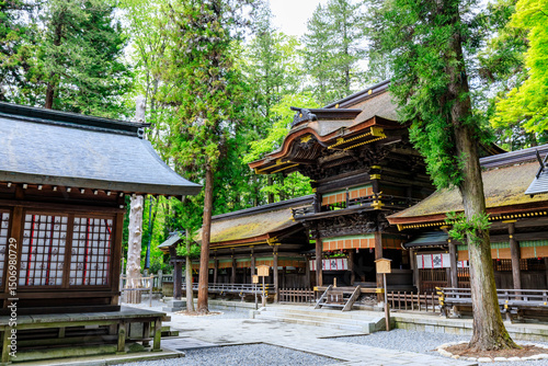 初夏の諏訪大社 下社 春宮　長野県諏訪郡　Suwa Taisha Shrine in early summer. Shimosha. Harumiya. Nagano Pref, Suwa District.	 photo