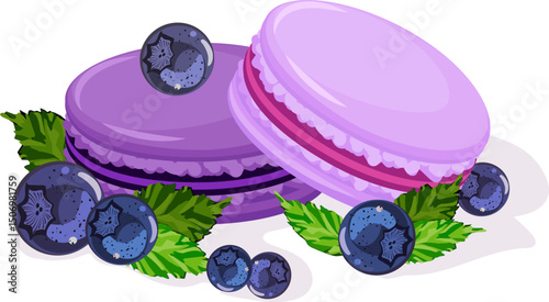 Macaroons and blueberries in illustration.Vector illustration with colorful macaroons and blueberries on transparent background with shadow.
