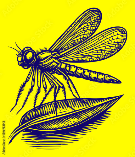Detailed Vintage Engraving of a Dragonfly on a Leaf in Black and White