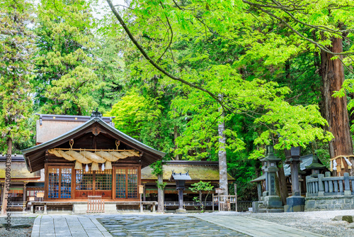 初夏の諏訪大社 下社 春宮　長野県諏訪郡　Suwa Taisha Shrine in early summer. Shimosha. Harumiya. Nagano Pref, Suwa District.	 photo