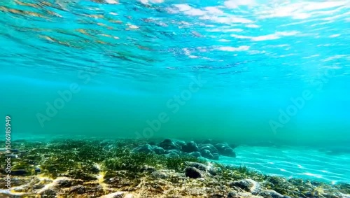 Underwater Serenity: Vibrant Marine Life Amidst Crystal Clear Waters and Rocky Seabed