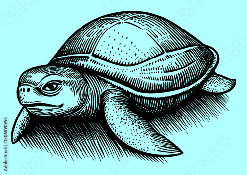Detailed Vintage Engraving of a Sea Turtle in Linocut Style Design