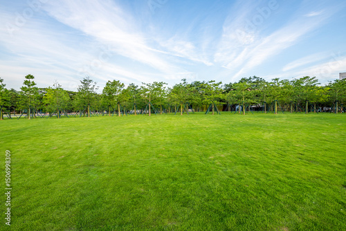 Green camping grassland in Spring Park
