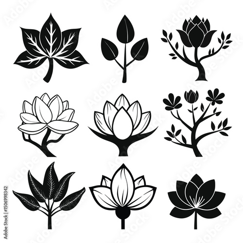Monochrome Minimalist Art Series for Designers
