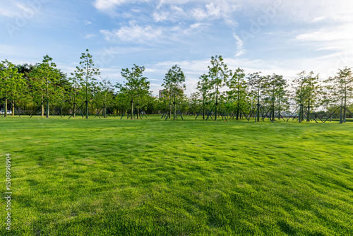 Green camping grassland in Spring Park
