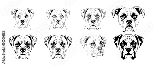 Vector Boxer dog faces outline set 