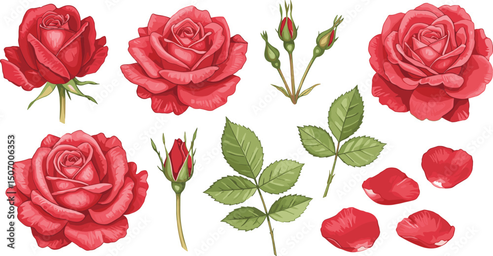 custom made wallpaper toronto digitalSet of different velvet red roses, unraveled buds and green leaves.